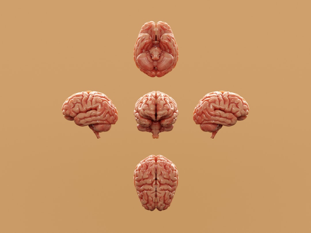 What Are The Early Symptoms Of Alzheimer’s Disease? Many People Overlook The Third Warning Sign.