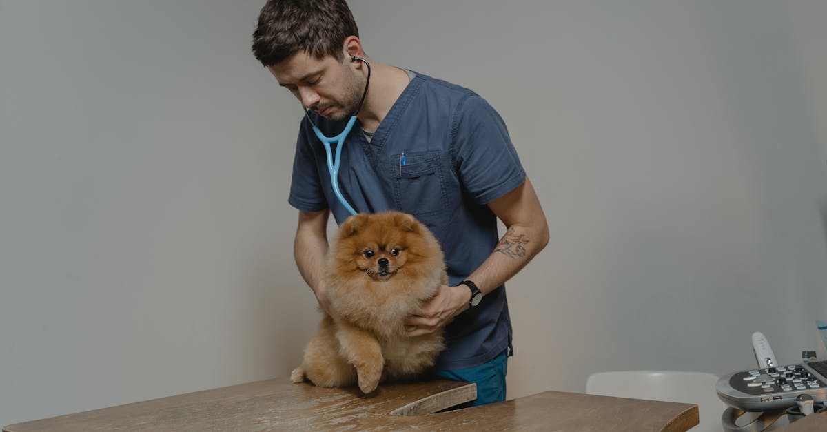 30-Day ASPCA Pet Insurance